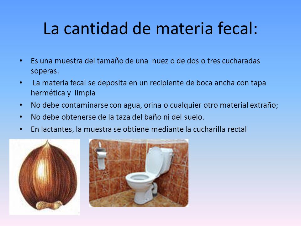 Heces muestra como recolectar de